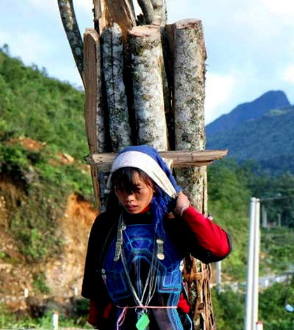 Xót lòng những anhí cõng củi, apakhá đẻ ngồi