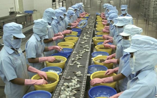 Việt Nam thu về hơn 6,7 tỉ đôla từ xuất khẩu thủy sản trong năm 2013