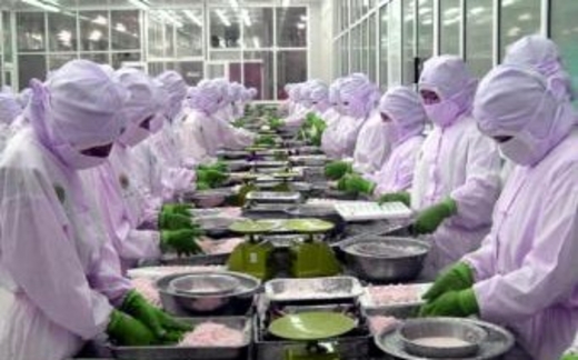 Đại gia cá tôm chết cạn