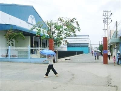 Cả nước khốn khổ vì 'ông độc quyền' - Bài 2