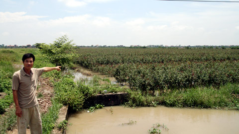 Một năm sau mở rộng Hà Nội: Nông dân triệu phú thèm 'lấm đất'