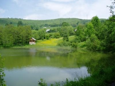 Pan Tadeusz (ciąg dalszy – 53)