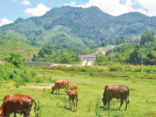 Công trình thuỷ điện: những lời hứa gió bay