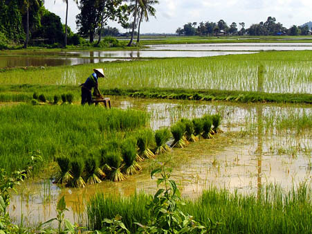 Đất và những nhân tố hạ giá đất