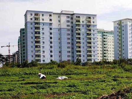 Khi người cày mất ruộng