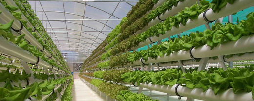 Israel – Một đất nước thần kỳ