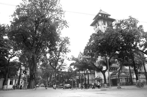 Nguyễn Biểu, sứ giả trung dũng