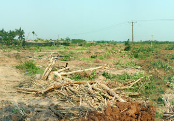 Vụ thu hồi đất ở Văn Giang (Hưng Yên): Tìm một cơ chế hài hòa quyền lợi