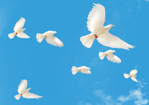 Pan Tadeusz (ciąg dalszy – 45)