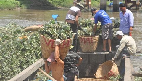 Đừng bỏ mặc nông dân