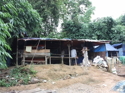 Vàng và máu - Kỳ 1