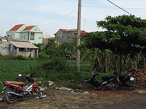 Khai tử hàng loạt dự án