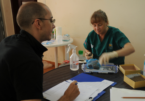 "Đánh úp" 10 nhà hàng kinh doanh động vật hoang dã