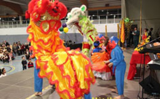 Tết Việt ở Âu châu: giữ gìn bản sắc dân tộc