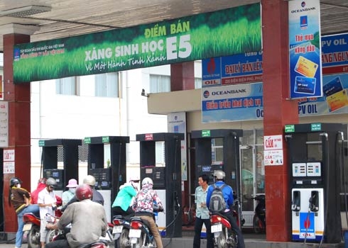 Xăng sinh học càng làm càng lỗ