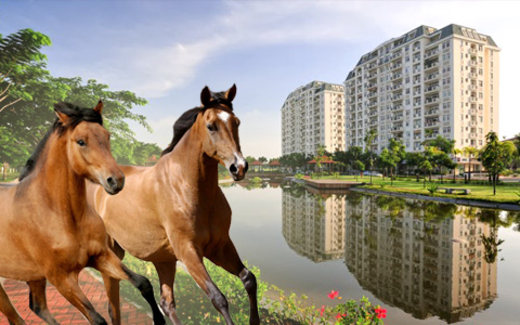 Năm Ngọ: Tạo hưng phấn để ngựa tung vó