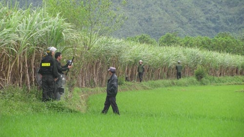 Đà Nẵng: 164 con nghiện trốn trại