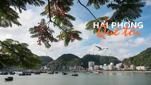 Thông báo của Hội người Hải Phòng tại Ba Lan