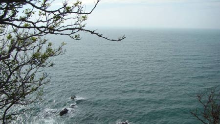 Không quản được biển là có tội với tương lai!