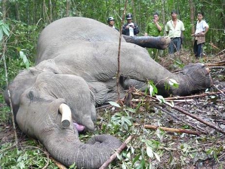 PN&HĐ:"Thượng đế" phải đòn và cưa gân... đạo đức xã hội