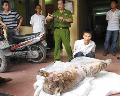 Người Việt Nam ngang nhiên săn và ăn động vật hoang dã