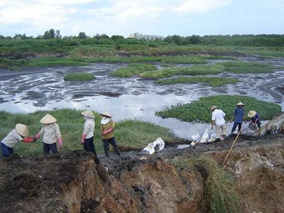 Nước bẩn tấn công Nhà máy Nước Tân Hiệp