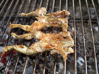 Khó quên thịt ếch miệt vườn