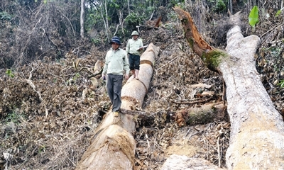 Thủy điện và những hệ lụy