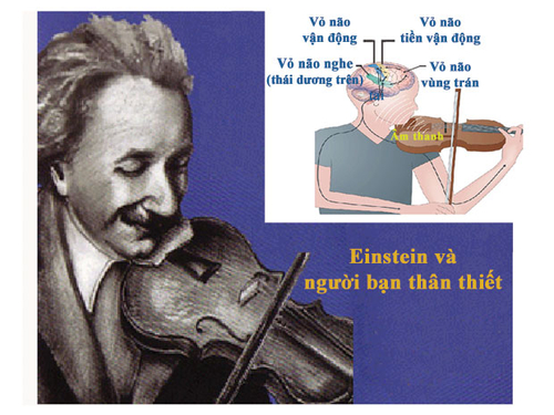 Thương quá bộ não