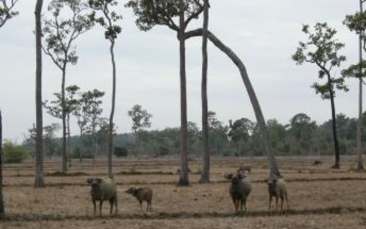 Điểm báo Quốc tế