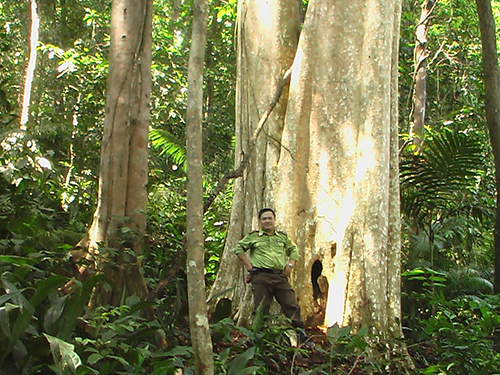 Dự án thủy điện Đồng Nai 6, 6A: Lập luận ngược đời
