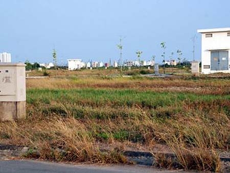 Đất hoang hóa, giá vẫn tăng!