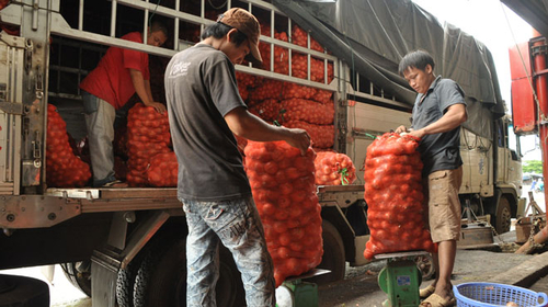 Cước vận tải: lên rồi, xuống không được!