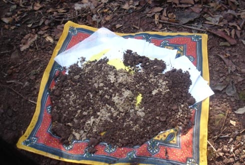 Ngoại cảm rởm đang tung hoành tại "thị trường" áp vong, tìm mộ