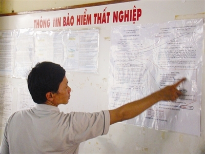 Đua nhau thất nghiệp hưởng bảo hiểm