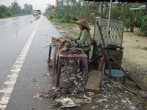 “Mua chim đi”… dọc đường quốc lộ