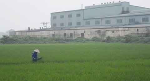 Một năm sau mở rộng Hà Nội: Lời hứa ảo cho thanh niên thành thị 'một nửa'