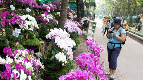 Hoa nhiều, bán chậm