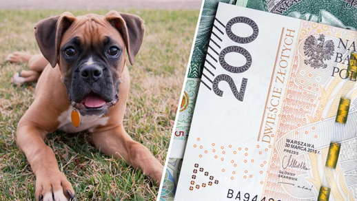 Ba Lan mới có chương trình 500+ cho… chó mèo