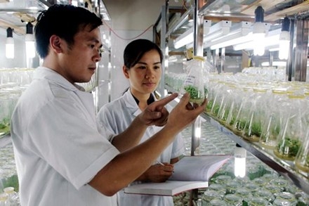 Tiền và lòng tự trọng