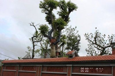 Con Bí thư Hải Dương nói về tài sản kếch xù