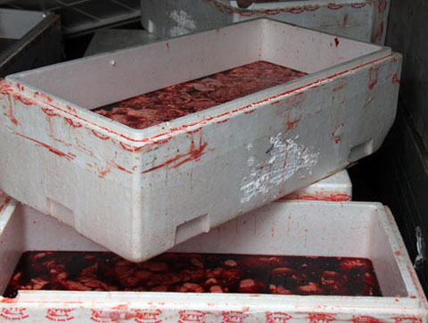 Chết khiếp với chiêu làm giả rượu ngoại