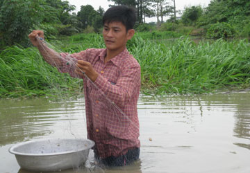 Nông dân sau bức màn phát triển: Phiêu dạt