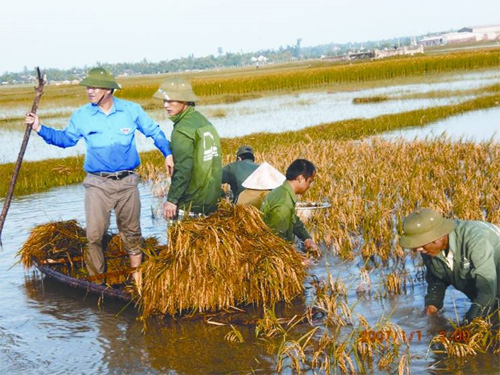 Chạy bão ở Bắc Bộ