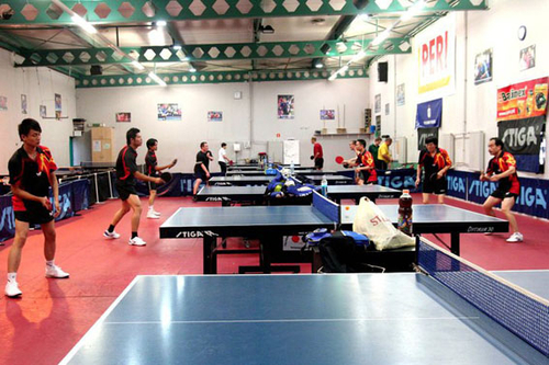 Đội bóng bàn Cộng đồng Việt Nam tại Ba Lan tham gia giải bóng bàn „Thân thiện” mở rộng 2010 tại Praha.