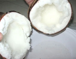 Dừa sáp Trà Vinh