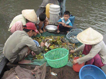 Vedan lại “cù cưa”