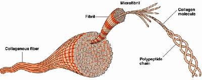 Khi nào ta biết mình đã già