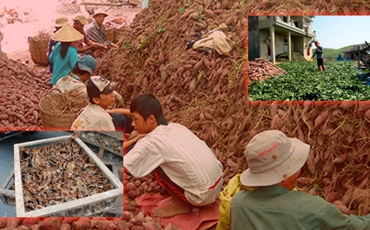 Việt Nam, bãi 'phế thải' thực phẩm bẩn Trung Quốc