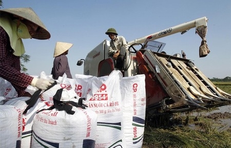 Đặc trưng "hiếm thấy" của nền kinh tế VN sau 4 tháng 2012